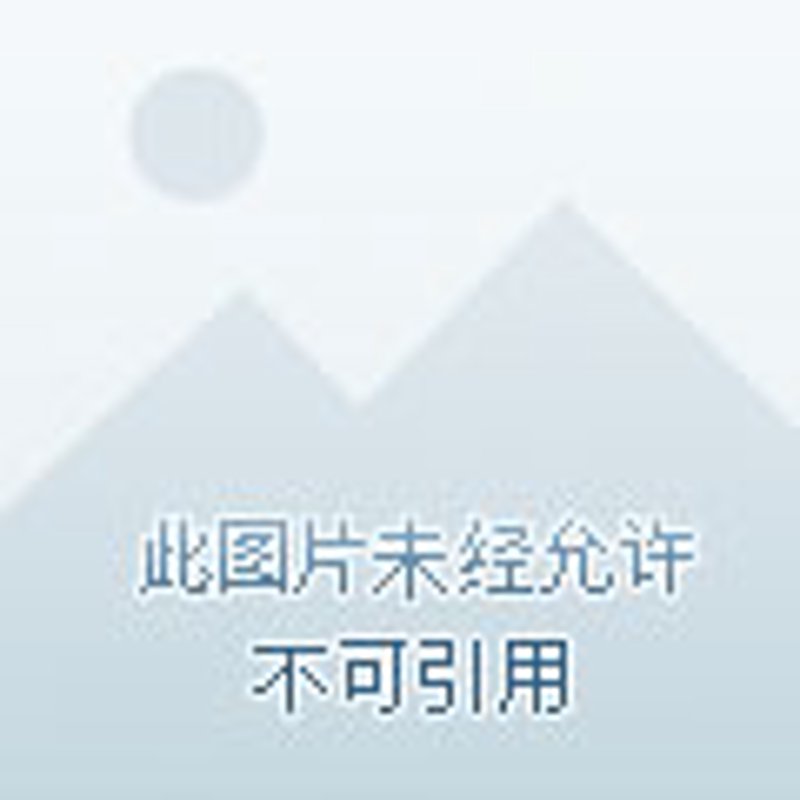 南岸区秀苑大厦:个体工商户如何抢占市场先机?